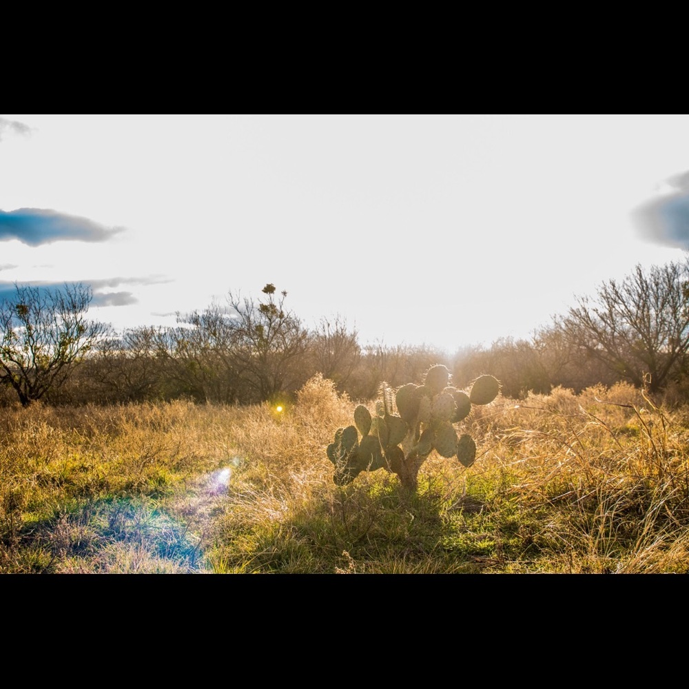 Meet your Posher, Jody B